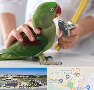 درمانگاه شبانه روزی پرندگان در ملارد