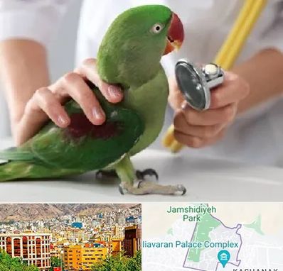 درمانگاه شبانه روزی پرندگان در نیاوران 