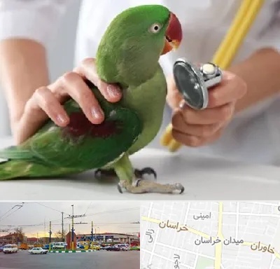 درمانگاه شبانه روزی پرندگان در میدان خراسان