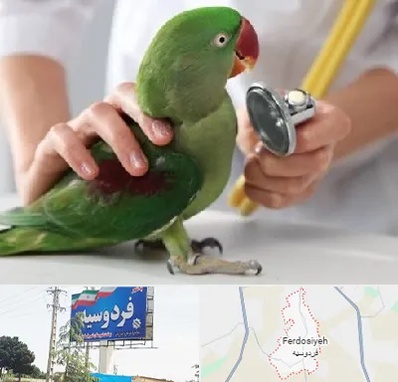 درمانگاه شبانه روزی پرندگان در فردوسیه شهریار