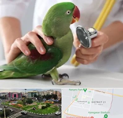 درمانگاه شبانه روزی پرندگان در تهرانسر 