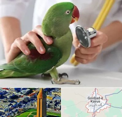 درمانگاه شبانه روزی پرندگان در گنبد کاووس