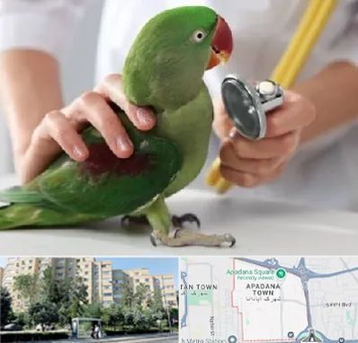 درمانگاه شبانه روزی پرندگان در آپادانا