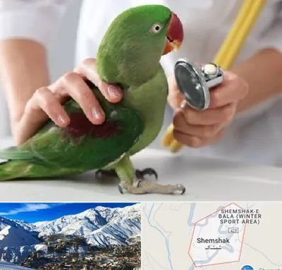 درمانگاه شبانه روزی پرندگان در شمشک