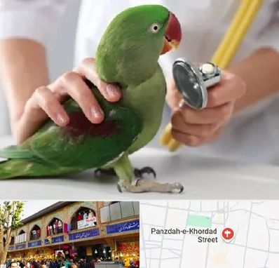 درمانگاه شبانه روزی پرندگان در 15 خرداد