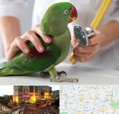 درمانگاه شبانه روزی پرندگان در جنت آباد تهران 