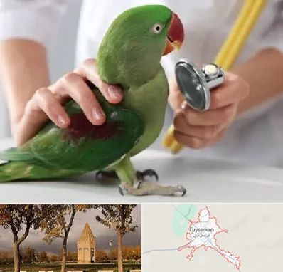 درمانگاه شبانه روزی پرندگان در تویسرکان