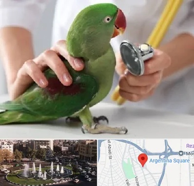 درمانگاه شبانه روزی پرندگان در آرژانتین
