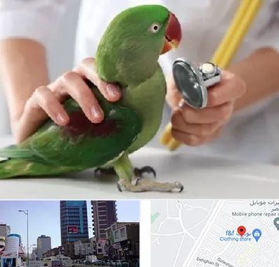 درمانگاه شبانه روزی پرندگان در چهارراه طالقانی کرج