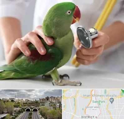 درمانگاه شبانه روزی پرندگان در یوسف آباد 