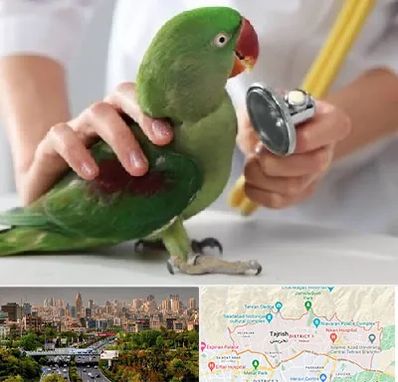 درمانگاه شبانه روزی پرندگان در منطقه 1 تهران 