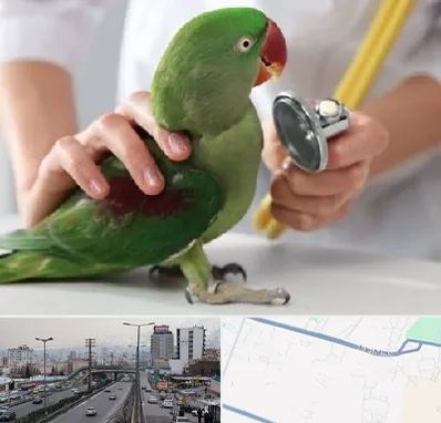 درمانگاه شبانه روزی پرندگان در بلوار ارتش