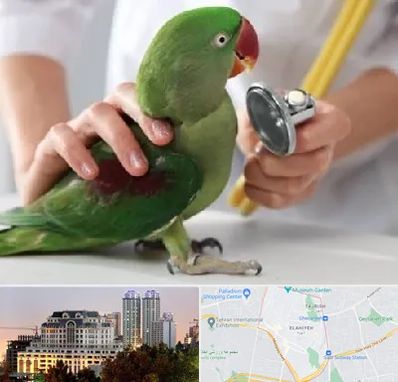 درمانگاه شبانه روزی پرندگان در فرشته 