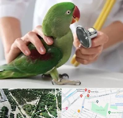 درمانگاه شبانه روزی پرندگان در سالاریه قم