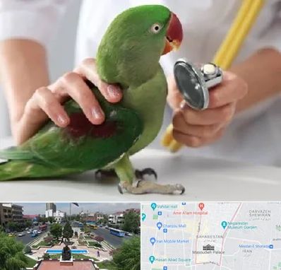 درمانگاه شبانه روزی پرندگان در بهارستان 