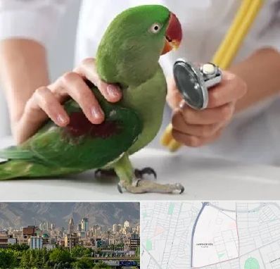 درمانگاه شبانه روزی پرندگان در جمشیدیه