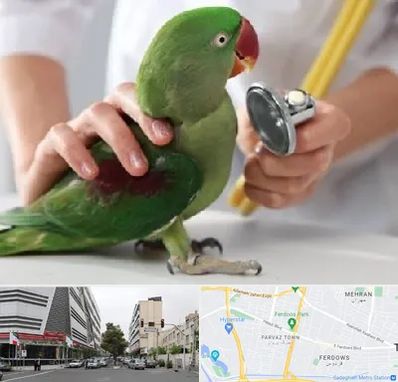 درمانگاه شبانه روزی پرندگان در بلوار فردوس 