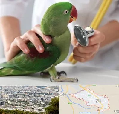 درمانگاه شبانه روزی پرندگان در یاسوج