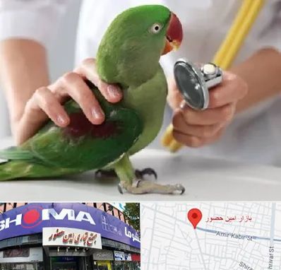 درمانگاه شبانه روزی پرندگان در امین حضور