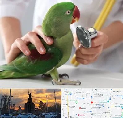 درمانگاه شبانه روزی پرندگان در میدان حر 