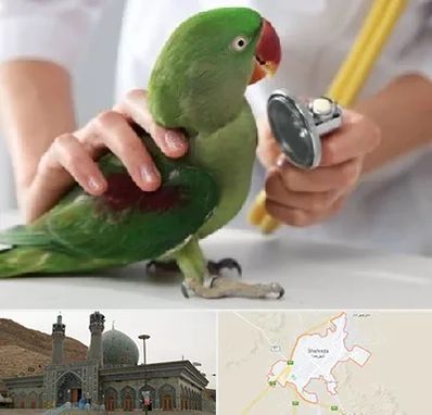 درمانگاه شبانه روزی پرندگان در شهرضا