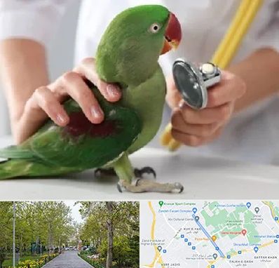 درمانگاه شبانه روزی پرندگان در قدوسی غربی شیراز