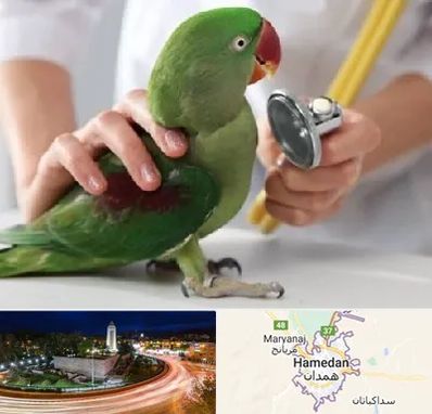 درمانگاه شبانه روزی پرندگان در همدان