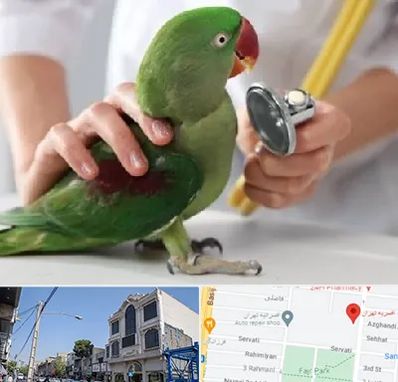 درمانگاه شبانه روزی پرندگان در افسریه 