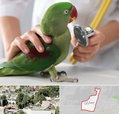 درمانگاه شبانه روزی پرندگان در جماران