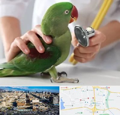 درمانگاه شبانه روزی پرندگان در شهرک راه آهن