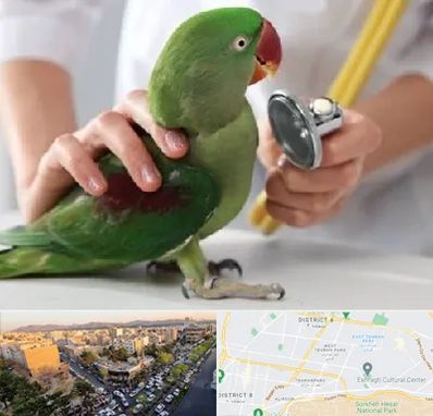 درمانگاه شبانه روزی پرندگان در تهرانپارس 