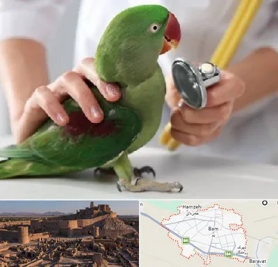 درمانگاه شبانه روزی پرندگان در بم