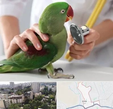 درمانگاه شبانه روزی پرندگان در اوین