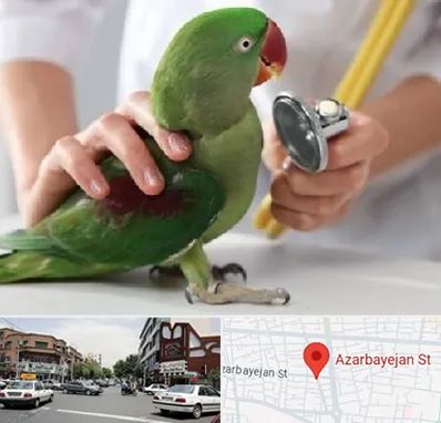 درمانگاه شبانه روزی پرندگان در خیابان آذربایجان