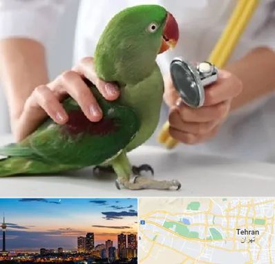 درمانگاه شبانه روزی پرندگان در غرب تهران 