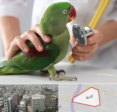 درمانگاه شبانه روزی پرندگان در آذری