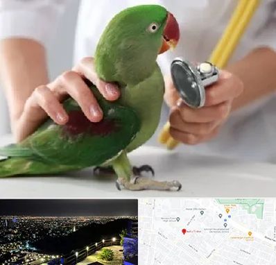 درمانگاه شبانه روزی پرندگان در هفت تیر مشهد