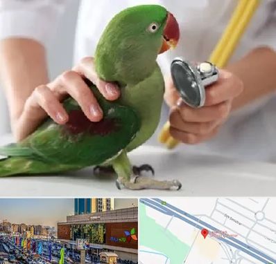 درمانگاه شبانه روزی پرندگان در لاله پارک تبریز