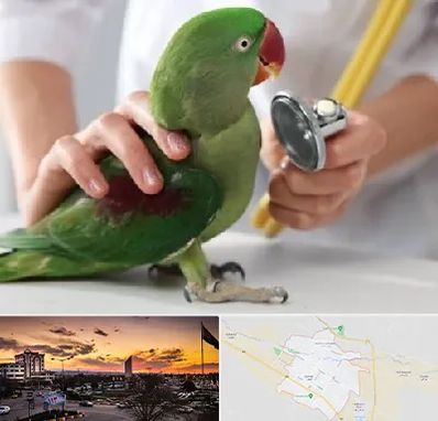 درمانگاه شبانه روزی پرندگان در قوچان