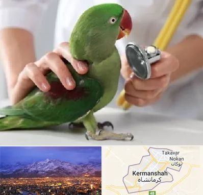 درمانگاه شبانه روزی پرندگان در کرمانشاه