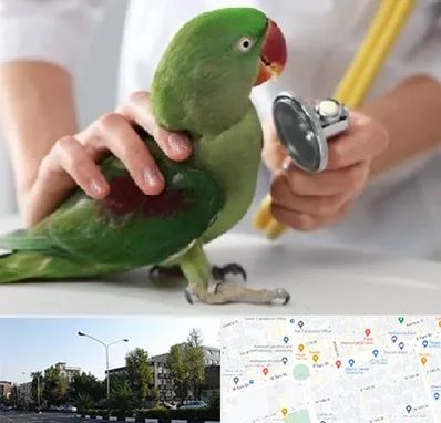 درمانگاه شبانه روزی پرندگان در میدان کاج 