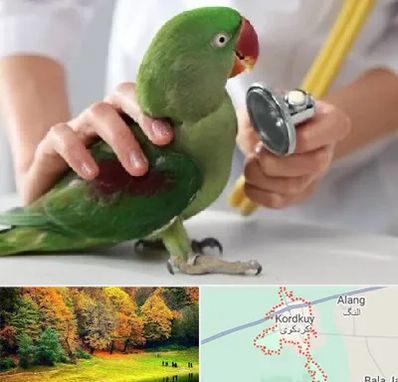 درمانگاه شبانه روزی پرندگان در کردکوی