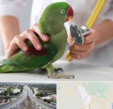 درمانگاه شبانه روزی پرندگان در اندیمشک