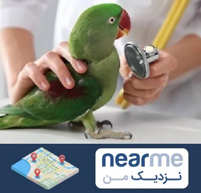 درمانگاه شبانه روزی پرندگان در نزدیک من