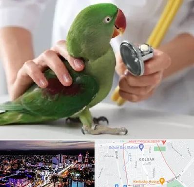 درمانگاه شبانه روزی پرندگان در گلسار رشت 