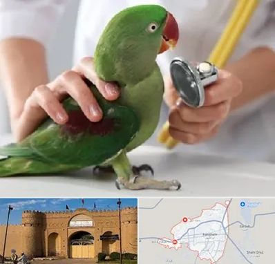 درمانگاه شبانه روزی پرندگان در ایرانشهر