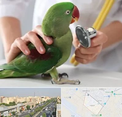 درمانگاه شبانه روزی پرندگان در کیانمهر کرج