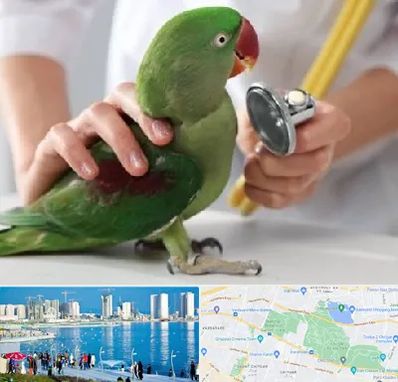 درمانگاه شبانه روزی پرندگان در چیتگر 