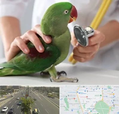 درمانگاه شبانه روزی پرندگان در منطقه 17 تهران 