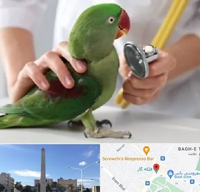 درمانگاه شبانه روزی پرندگان در فلکه گاز شیراز